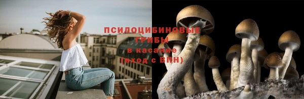 хмурый Балабаново