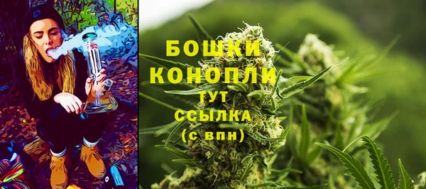 spice Армянск